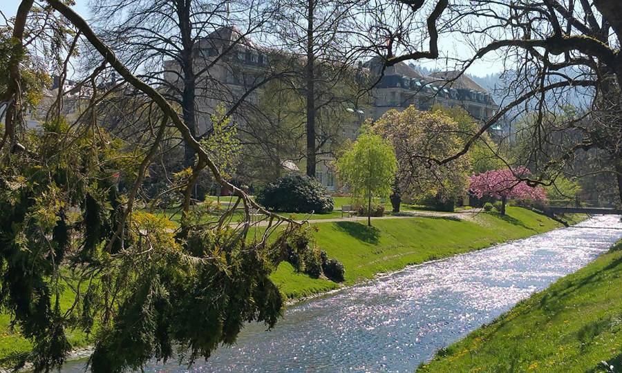 Baden-Badenspaapartment Dış mekan fotoğraf